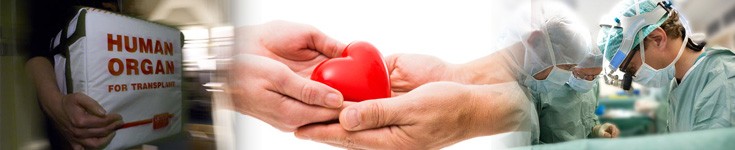 Transplantation Of Heart Lung Complex
